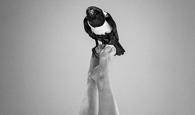 La_c_FrancoisPasserini (4) La_c_FrancoisPasserini (4)