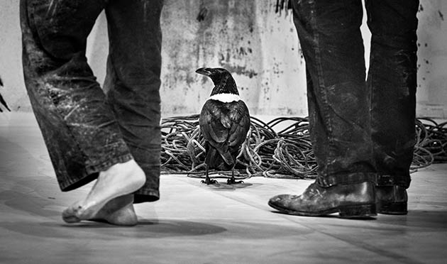 La_c_FrancoisPasserini (5) La_c_FrancoisPasserini (5)